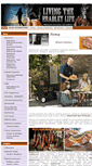 Mobile Screenshot of bradley.profiton.pl